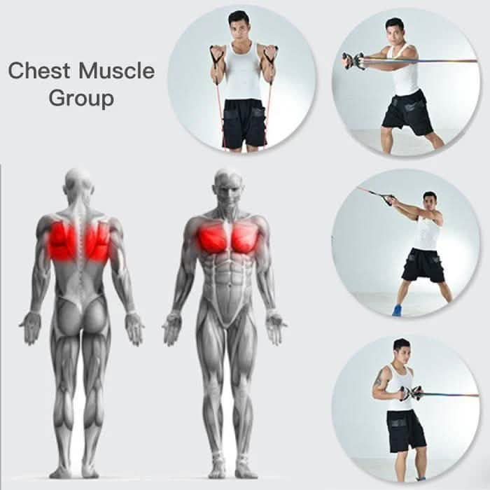 Ultimate Home Workout Set Fitness & Exercise - Tophatter Daily Deals