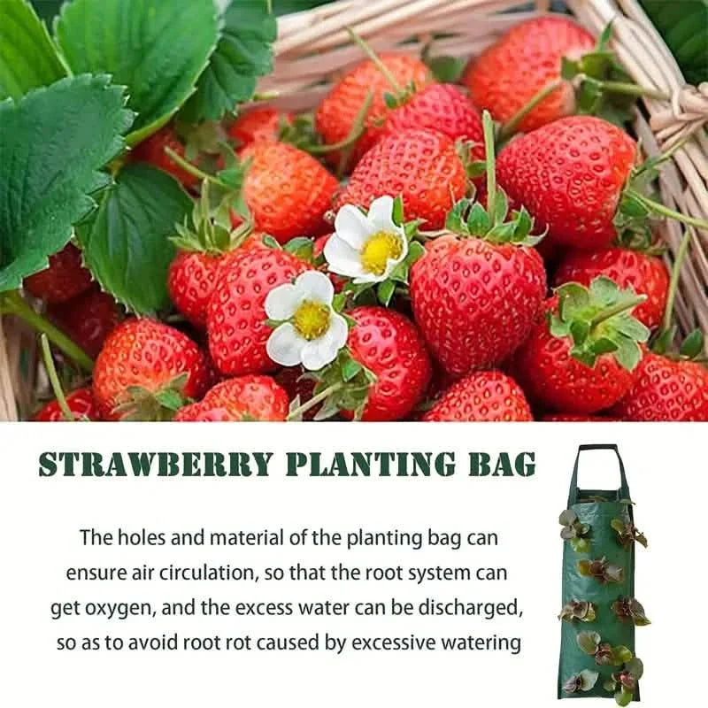Upside Down Tomato Grow Bag Garden & Patio - Tophatter Daily Deals