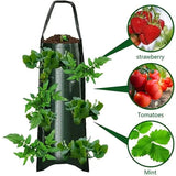 Upside Down Tomato Grow Bag Garden & Patio - Tophatter Daily Deals