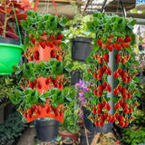 Upside Down Tomato Grow Bag Garden & Patio - Tophatter Daily Deals