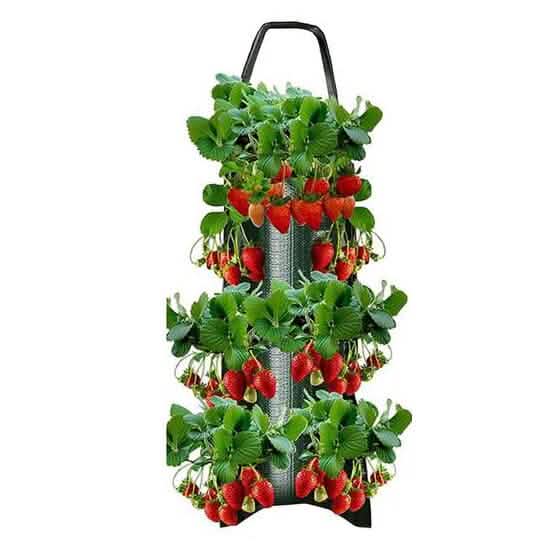 Upside Down Tomato Grow Bag Green Garden & Patio - Tophatter Daily Deals