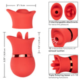 French Kiss Suck & Play Interchangeable Set – 12 Function Vibration and Suction Toy > Vibrators > Ladies > Clitoral Vibrators and Stimulators - Tophatter Daily Deals