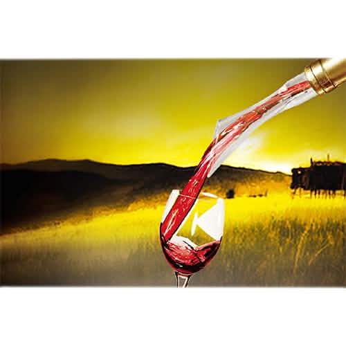 Vino Air Wine Aerator Wine & Dining - Tophatter Daily Deals