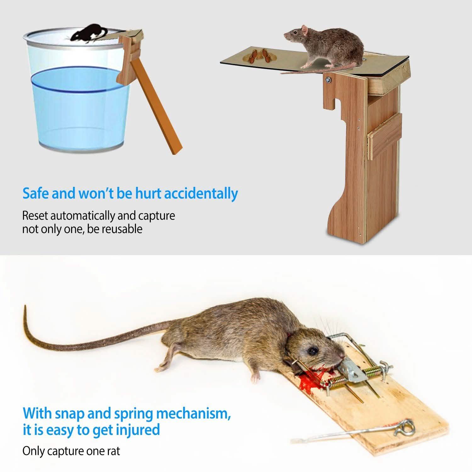 Walk In Traps Walk the Plank Mouse Trap Reusable – Tophatter's Inc.