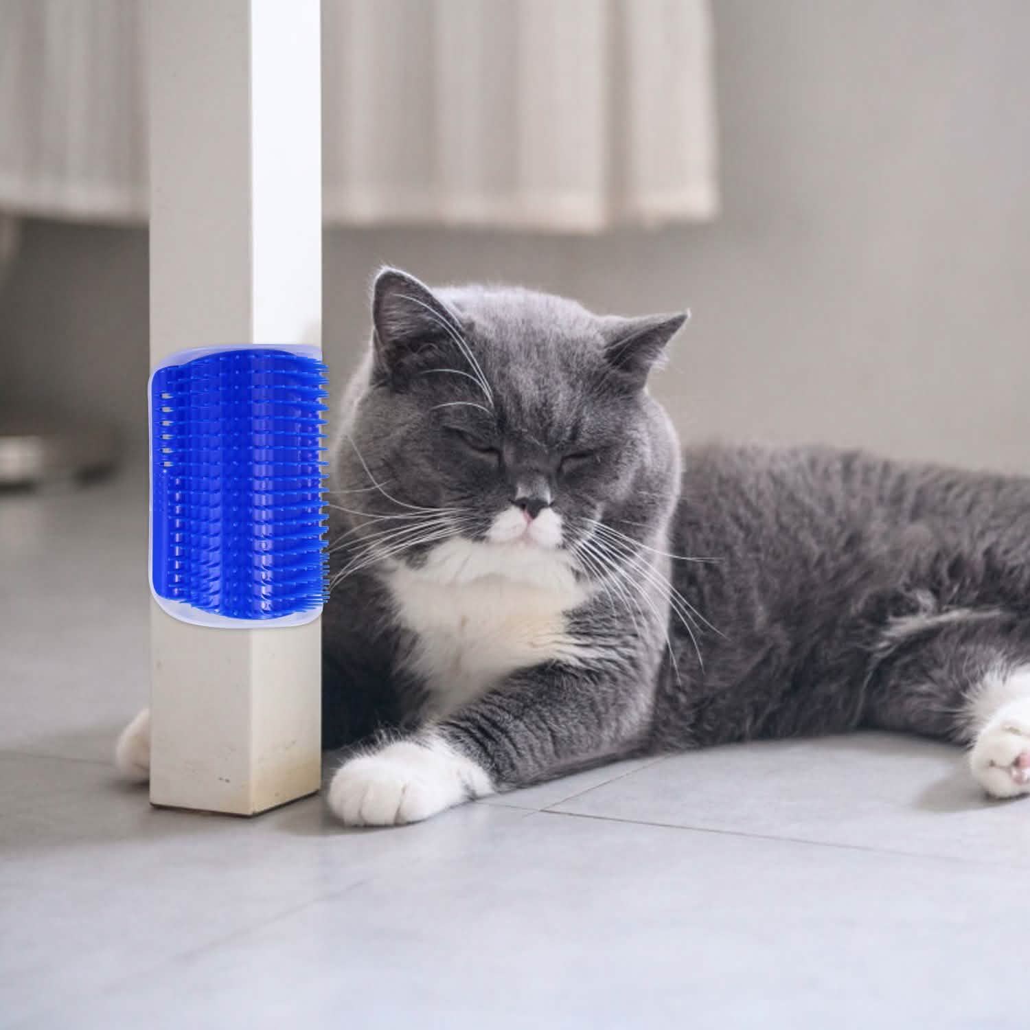 Wall Corner Massage Comb Pet Supplies - Tophatter Daily Deals