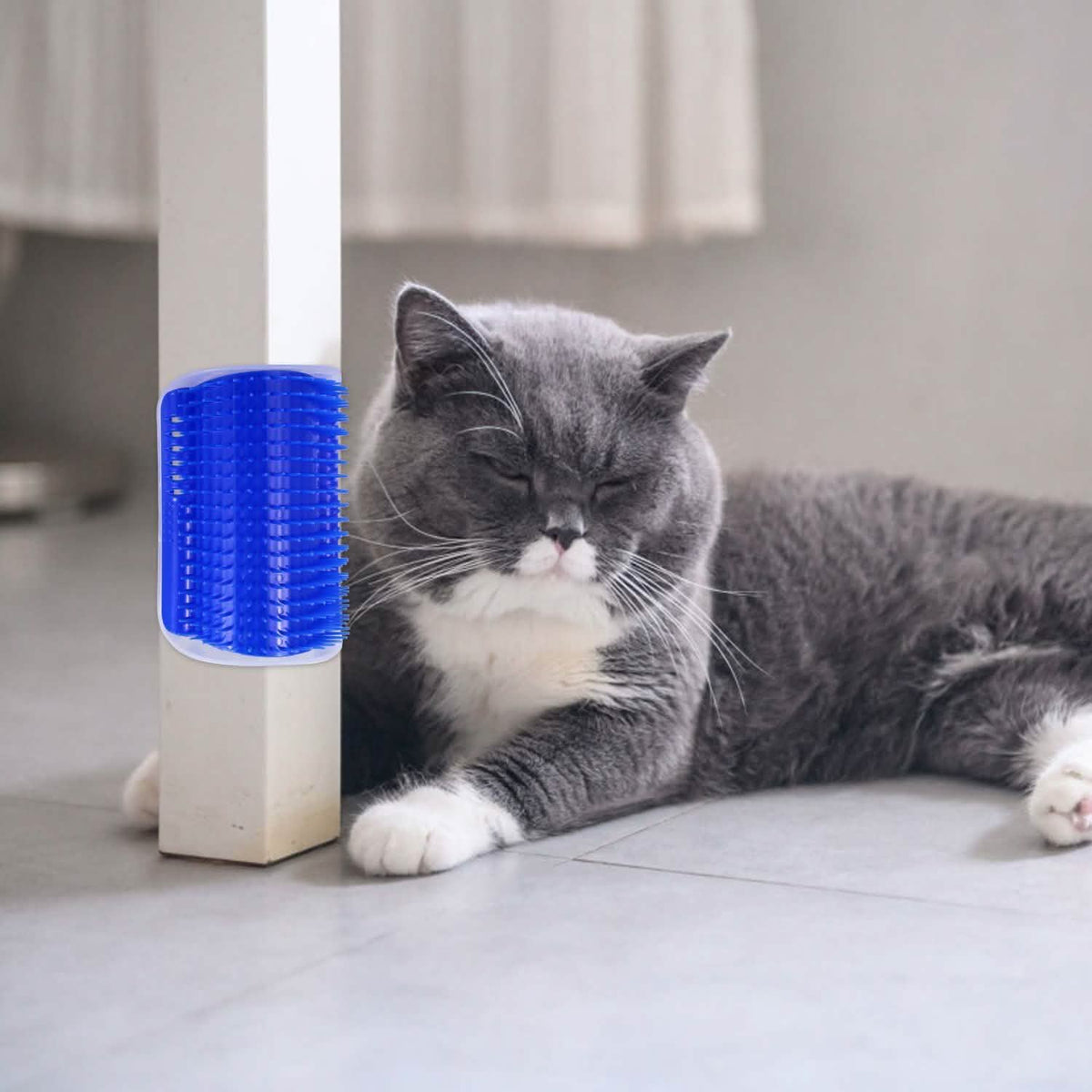Wall Corner Massage Comb Pet Supplies - Tophatter Daily Deals