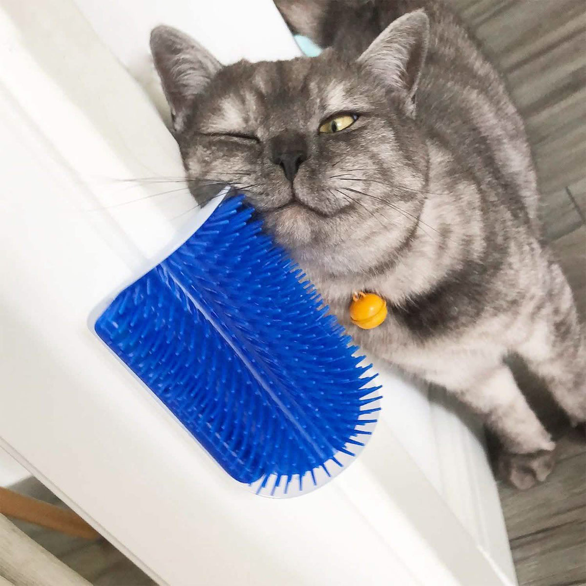 Wall Corner Massage Comb Pet Supplies - Tophatter Daily Deals