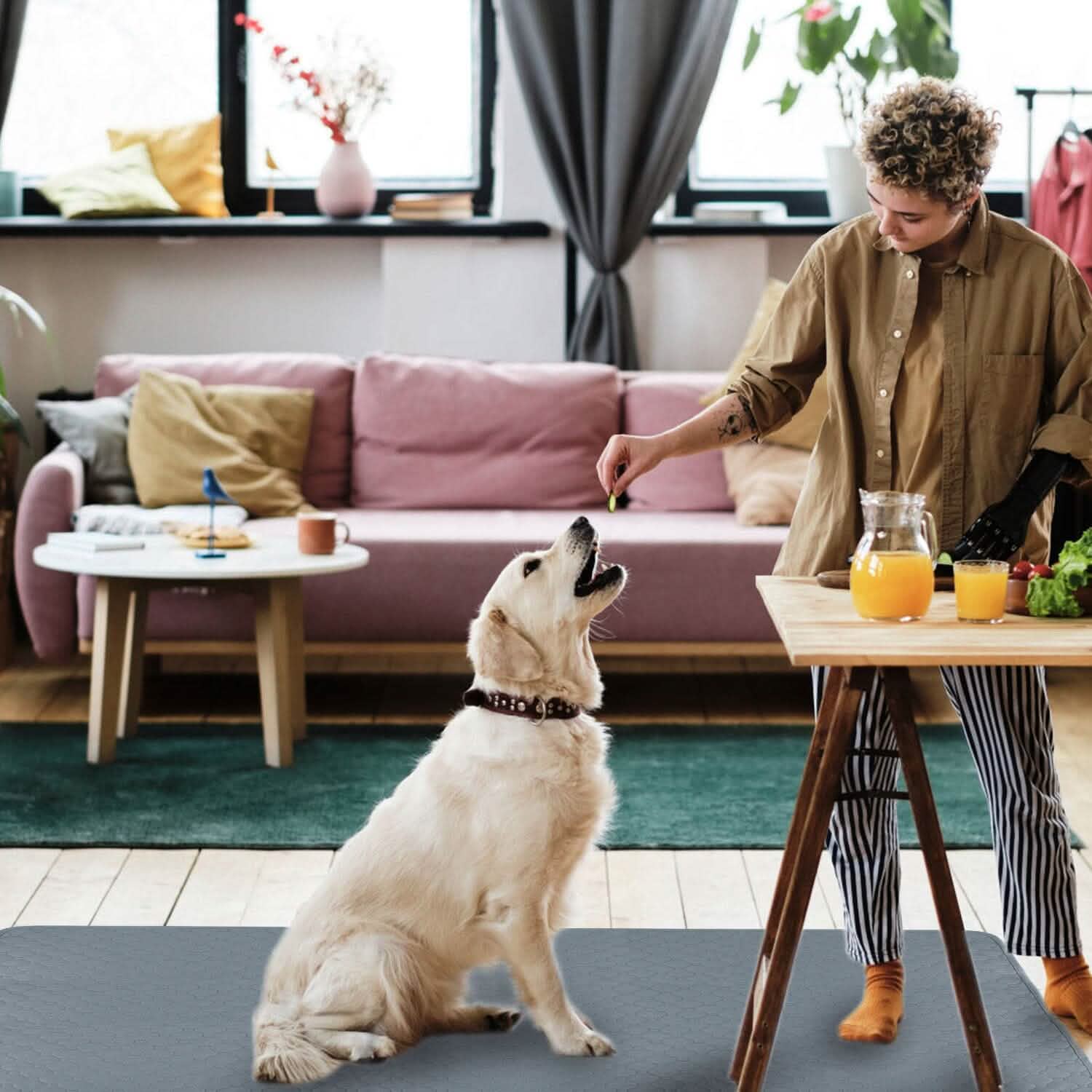 Washable Dog Pee Pad Reusable Puppy Potty Training Pads Pet Supplies - Tophatter Daily Deals