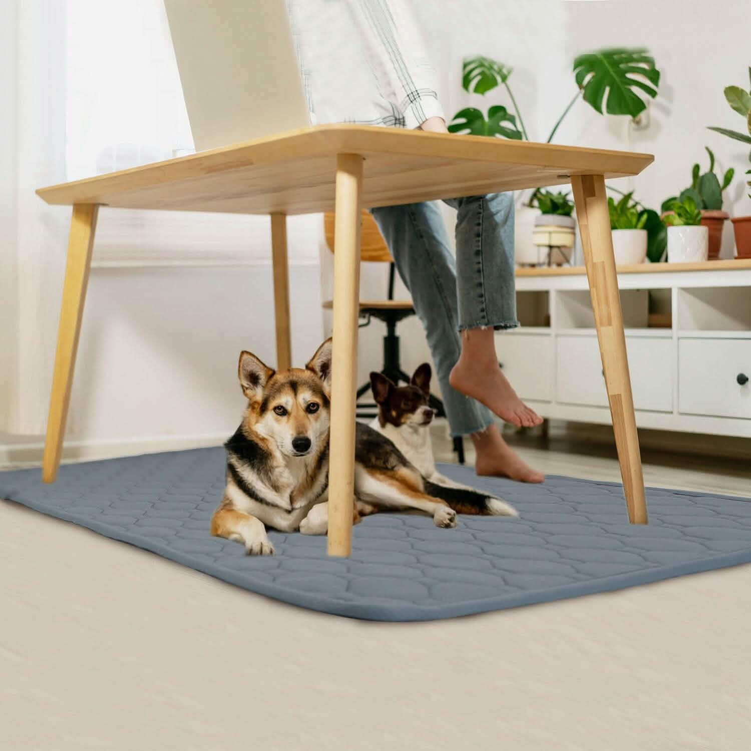 Washable Dog Pee Pad Reusable Puppy Potty Training Pads Pet Supplies - Tophatter Daily Deals