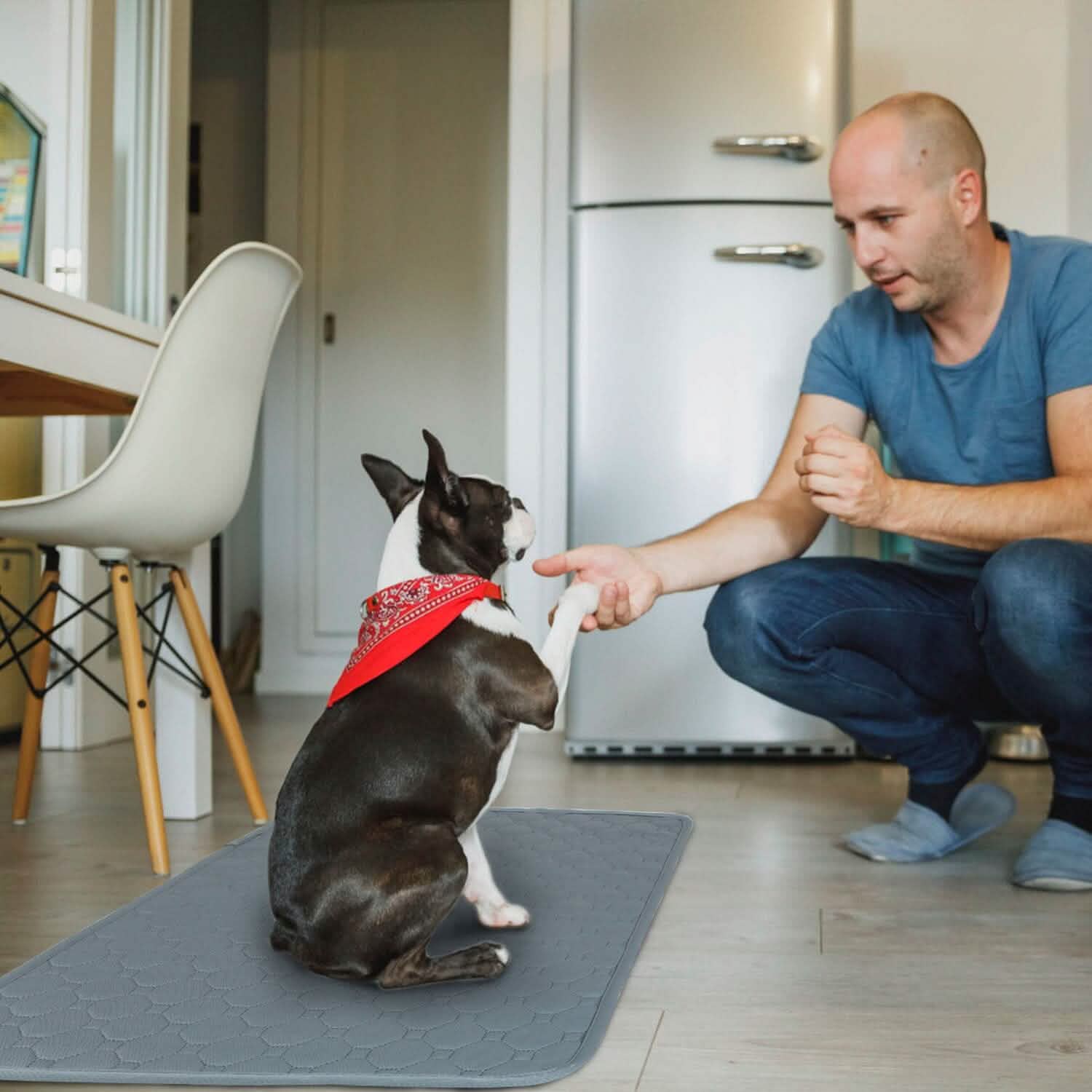 Washable Dog Pee Pad Reusable Puppy Potty Training Pads Pet Supplies - Tophatter Daily Deals