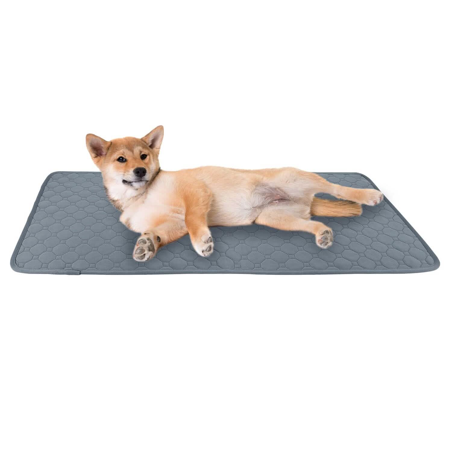 Washable Dog Pee Pad Reusable Puppy Potty Training Pads M Pet Supplies - Tophatter Daily Deals