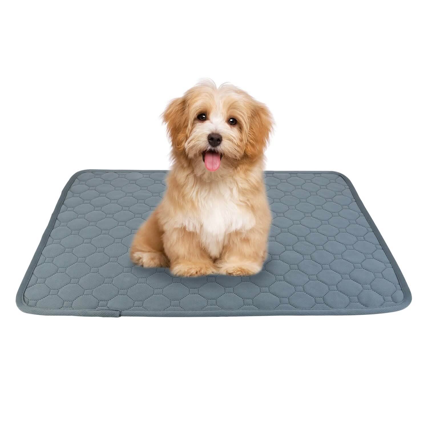 Washable Dog Pee Pad Reusable Puppy Potty Training Pads S Pet Supplies - Tophatter Daily Deals
