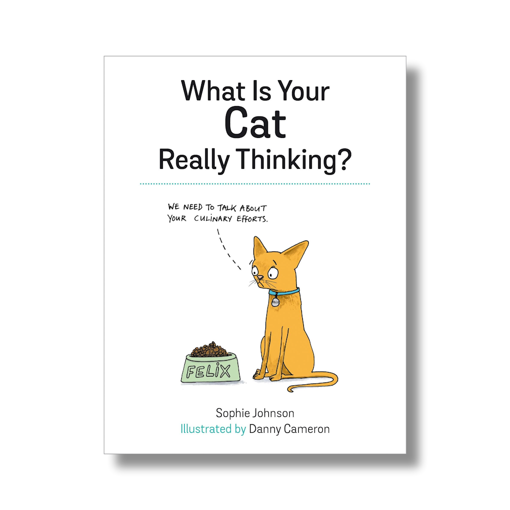 What Is Your Cat Really Thinking - Tophatter Daily Deals