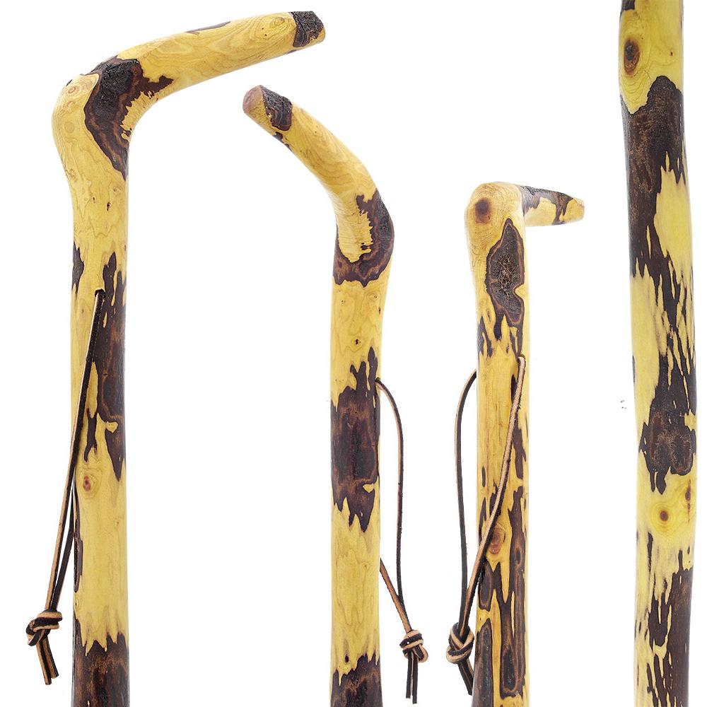 Hawthorne Natural Root Walking Cane Walking Sticks - Tophatter Daily Deals