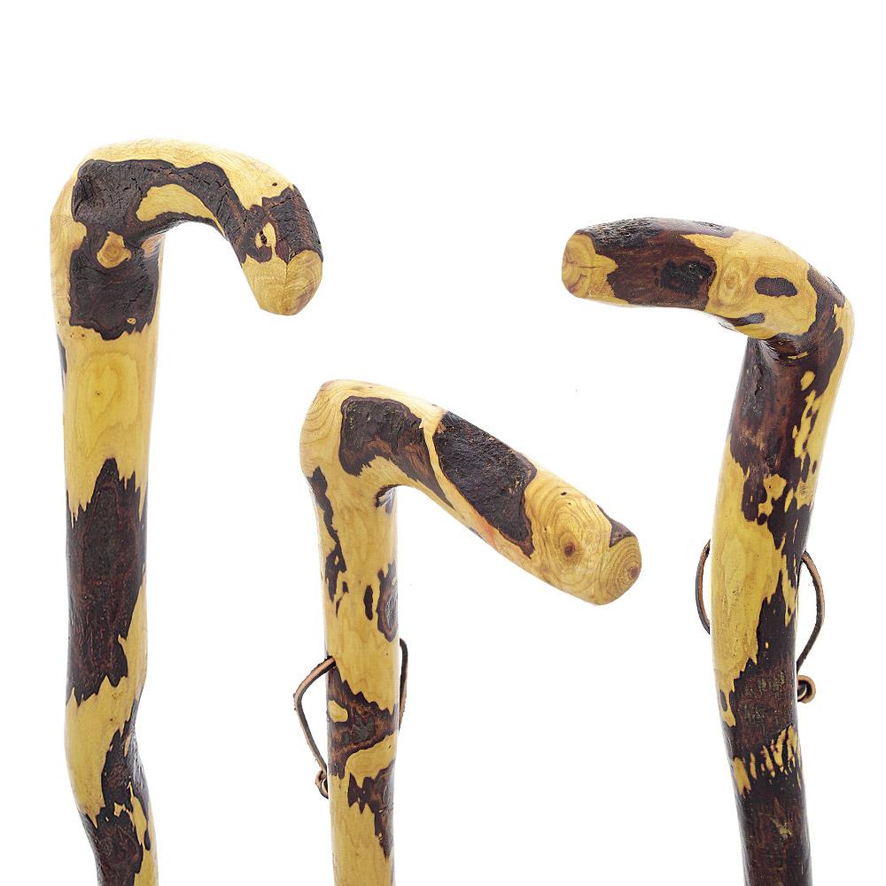 Hawthorne Natural Root Walking Cane Walking Sticks - Tophatter Daily Deals