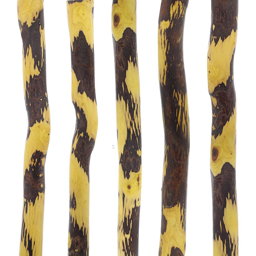 Hawthorne Natural Root Walking Cane Walking Sticks - Tophatter Daily Deals