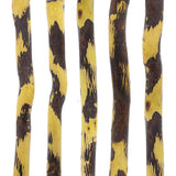 Hawthorne Natural Root Walking Cane Walking Sticks - Tophatter Daily Deals