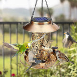 Solar Bird Feeder, Hanging Metal Lantern with LED Light and 3 Water Cups Solar Outdoor Lights - Tophatter Daily Deals