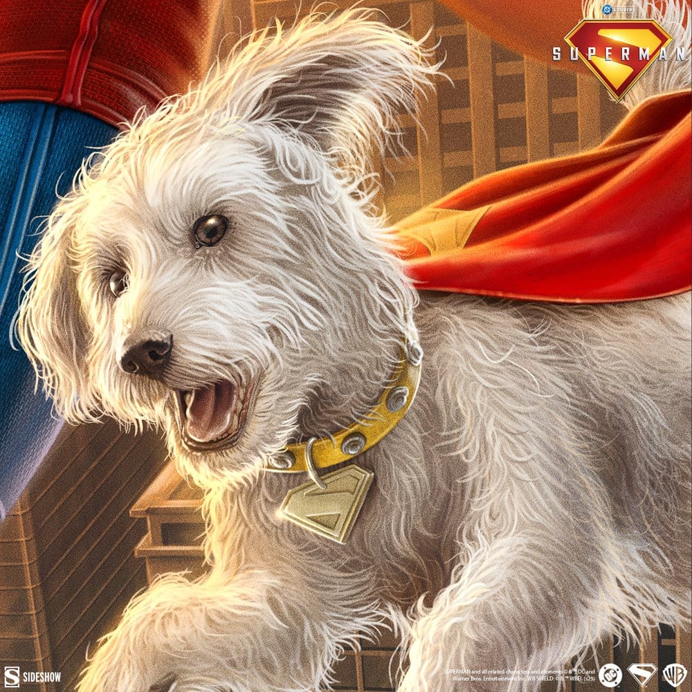 Superman: A Symbol of Hope - Limited Edition Official DC Comics Fine Art Print Fine Art Print - Tophatter Daily Deals