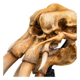 The Lord of the Rings - Skull of a Mumak Mini Statue | Weta Workshop Statue - Tophatter Daily Deals