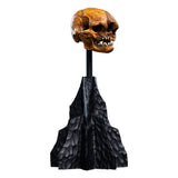 The Lord of the Rings - Official Weta Workshop Skull of a Misty Mountain Goblin Collectible - Tophatter Daily Deals