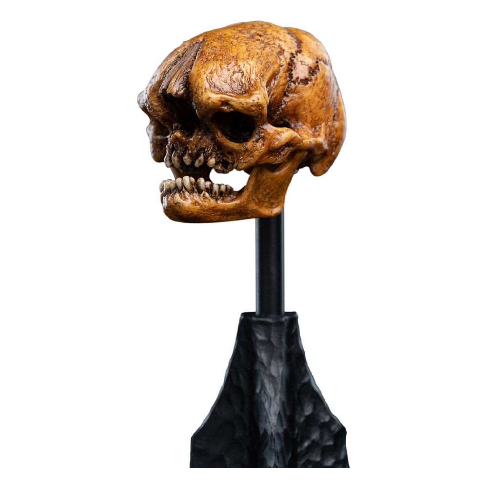 The Lord of the Rings - Official Weta Workshop Skull of a Misty Mountain Goblin Collectible - Tophatter Daily Deals