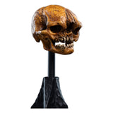 The Lord of the Rings - Official Weta Workshop Skull of a Misty Mountain Goblin Collectible - Tophatter Daily Deals