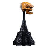 The Lord of the Rings - Official Weta Workshop Skull of a Misty Mountain Goblin Collectible - Tophatter Daily Deals