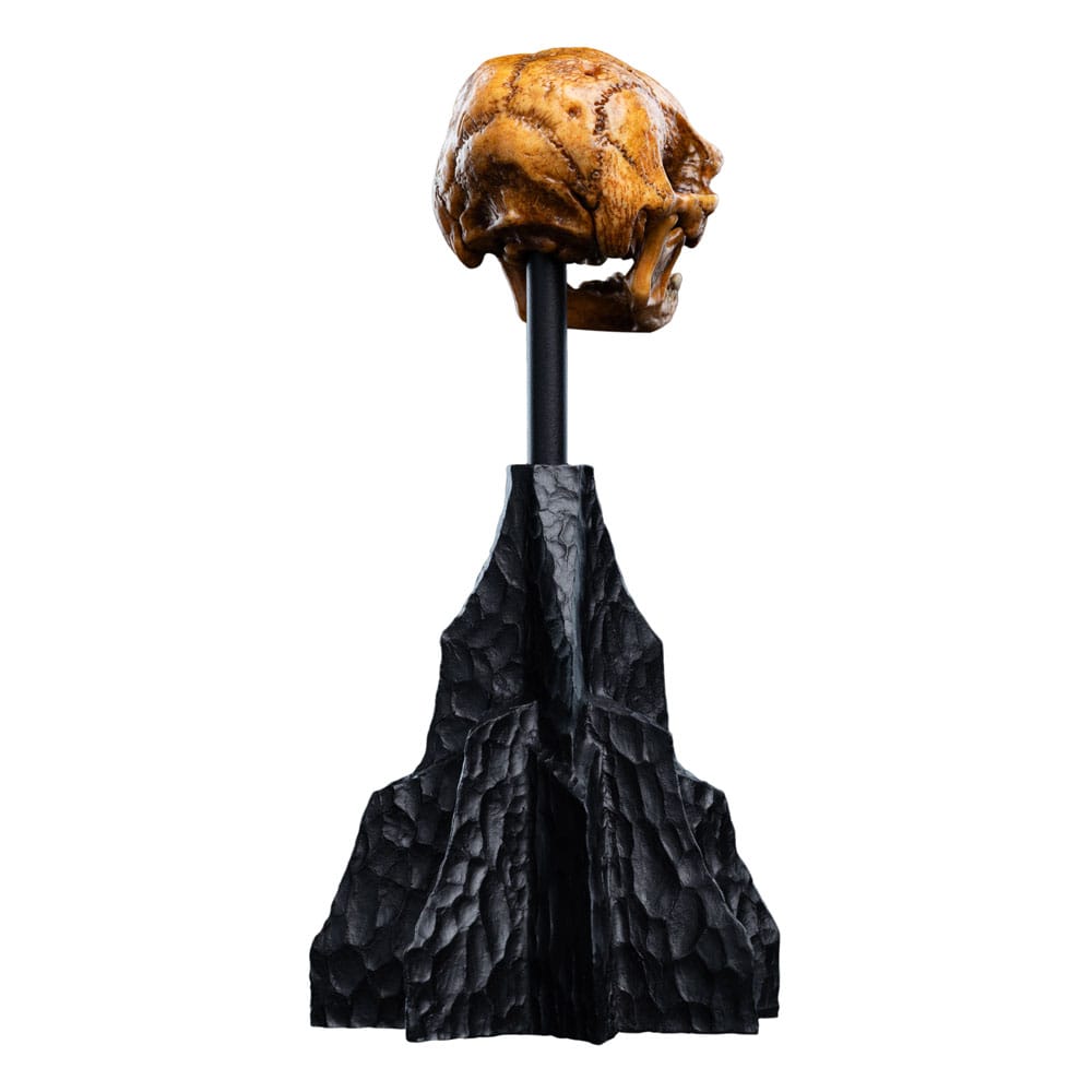 The Lord of the Rings - Official Weta Workshop Skull of a Misty Mountain Goblin Collectible - Tophatter Daily Deals