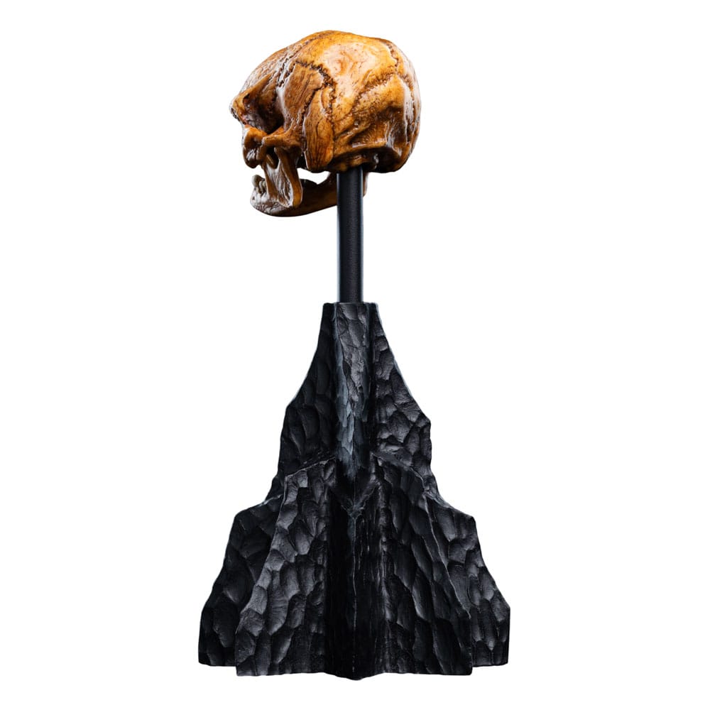 The Lord of the Rings - Official Weta Workshop Skull of a Misty Mountain Goblin Collectible - Tophatter Daily Deals