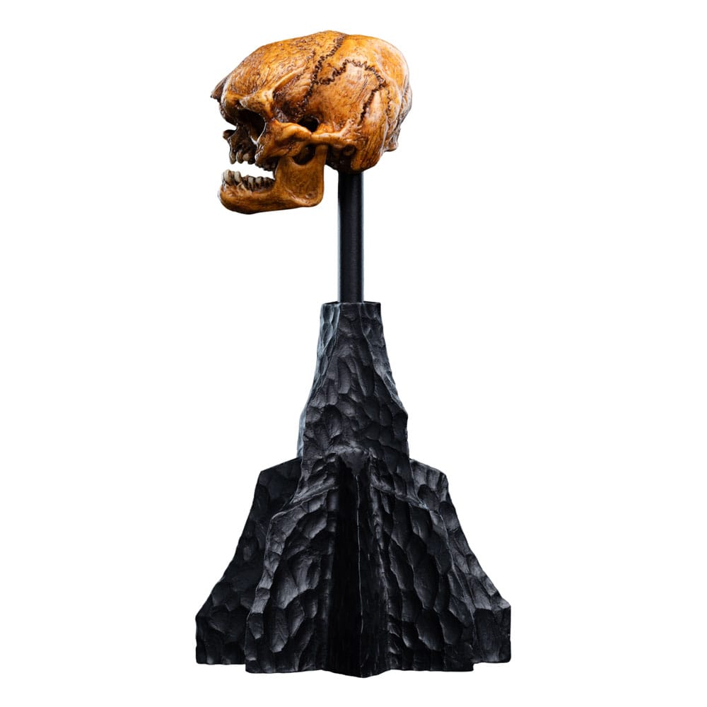 The Lord of the Rings - Official Weta Workshop Skull of a Misty Mountain Goblin Collectible - Tophatter Daily Deals