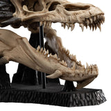 The Lord of the Rings - Skull of Smaug Mini Statue | Weta Workshop Statue - Tophatter Daily Deals