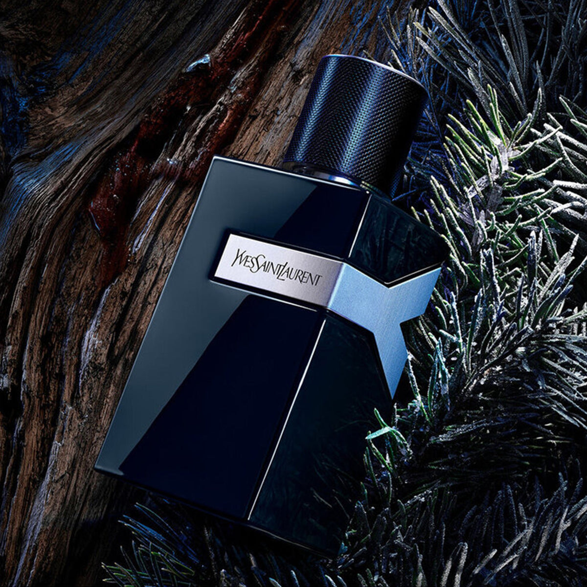 YSL Y for Men Le Parfum 100ml Spray - Tophatter Daily Deals