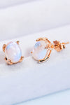 Natural Moonstone 4-Prong Stud Earrings Moonstone - Tophatter Daily Deals