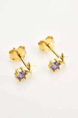 Zircon Star Stud Earrings Earrings - Tophatter Daily Deals