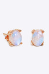 Natural Moonstone 4-Prong Stud Earrings Rose Gold One Size Moonstone - Tophatter Daily Deals