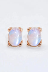 Natural Moonstone 4-Prong Stud Earrings Moonstone - Tophatter Daily Deals