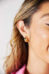 Adored Stainless Steel Earrings Earrings - Tophatter Daily Deals