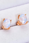 Natural Moonstone 4-Prong Stud Earrings Moonstone - Tophatter Daily Deals