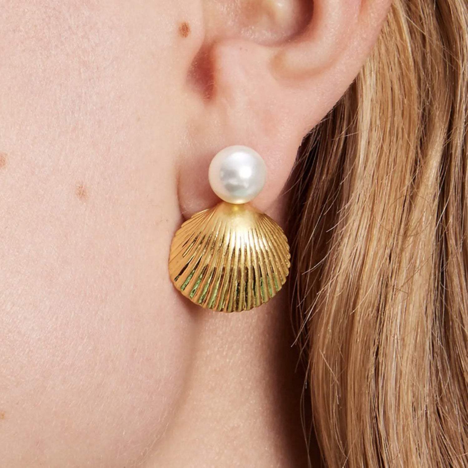 18K Gold-Plated Stainless Steel Shell Shape Earrings Earrings - Tophatter Daily Deals