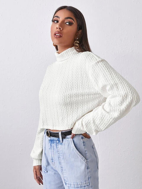 Turtleneck Long Sleeve Top - Tophatter Deals