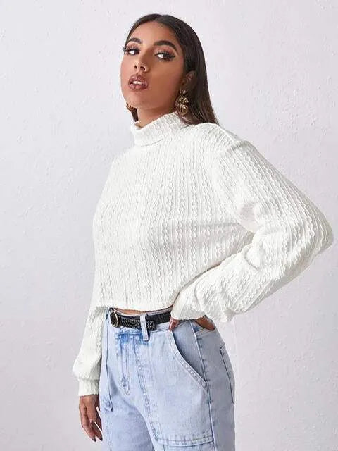 Turtleneck Long Sleeve Top Blouses - Tophatter Daily Deals