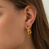 Stainless Steel C-Hoop Earrings Earrings - Tophatter Daily Deals