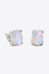 Natural Moonstone 4-Prong Stud Earrings - Tophatter Shopping Deals