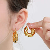 Stainless Steel Hinged Hoop Earrings Earrings - Tophatter Daily Deals